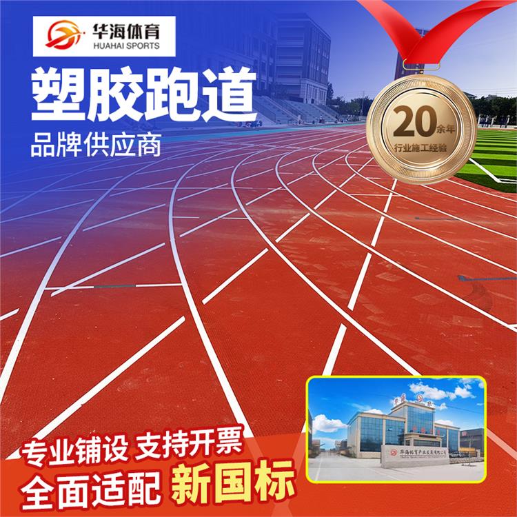丽水市预制跑道卷材预制型橡胶跑道 - 方案